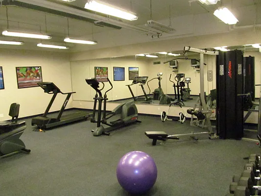 Rented by Lisa Management | media 9