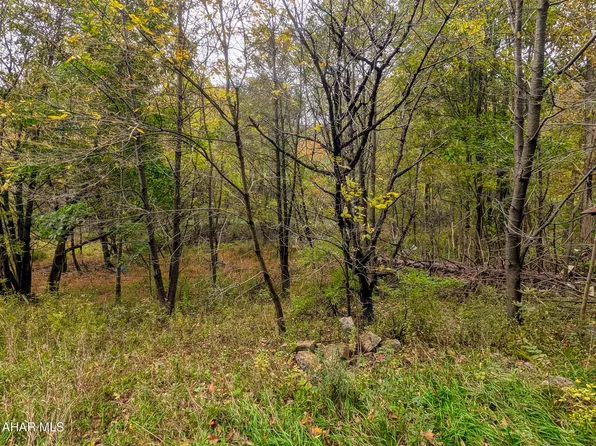 0 Miller Rd, Schellsburg, PA 15559