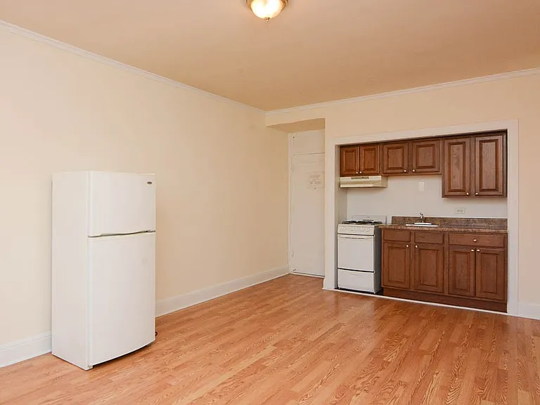 3335 W Diversey Ave #532 — Photo 10