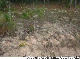 Baylor Dr, Spring hill, FL 34608