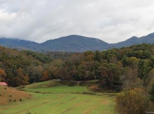 99999 Beaverdam Rd, Candler, NC 28715