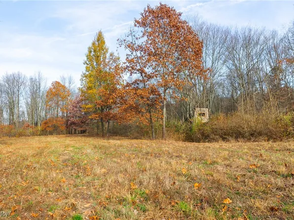 Township Road 1239, Dresden, OH 43821