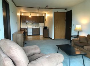 603 East Seneca Street, Ithaca, NY 14850