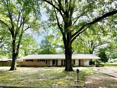 305 N Heard St, Senatobia, MS, 38668