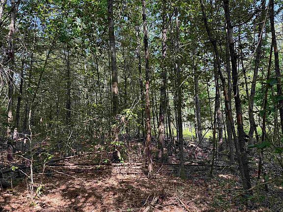 5th image of 00 Parkey Road