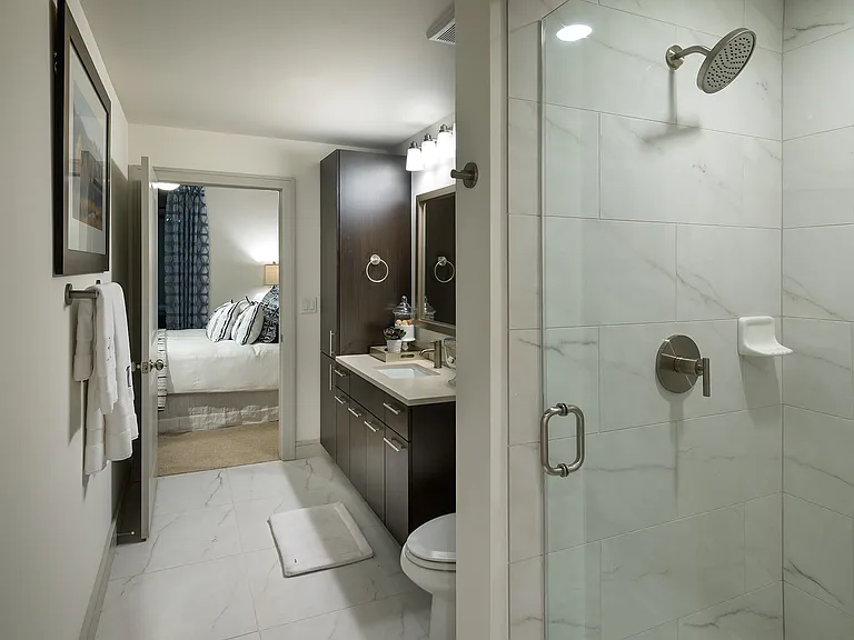 Spa-Inspired Bathroom