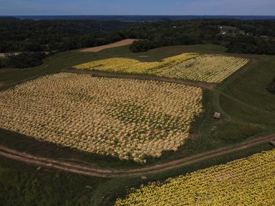 0 Little Sugar Creek Rd, Warsaw, KY, 41095