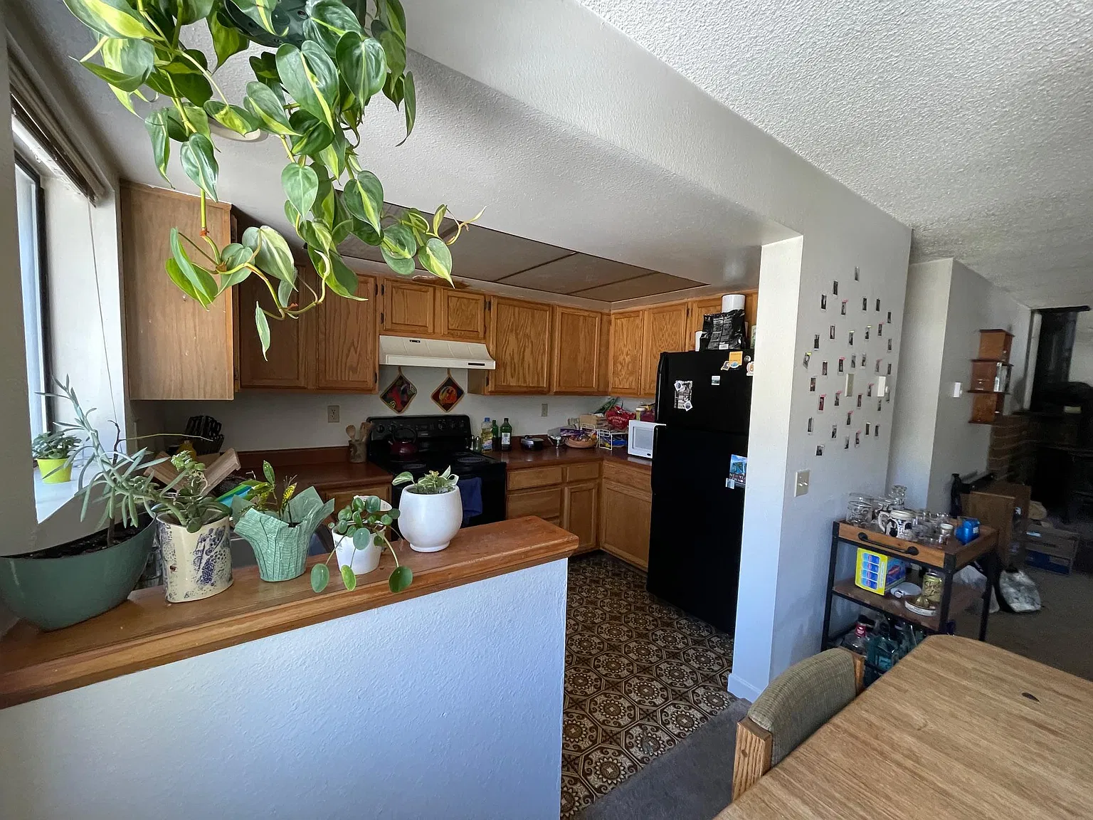 340 Chaparral Rd — Photo 4