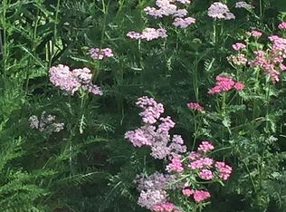 200 Dandi View Rd, North Conway, NH 03860