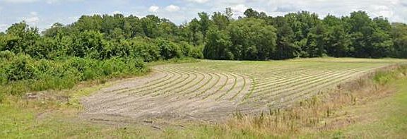 3rd image of 4221 Bud Parker Rd Road
