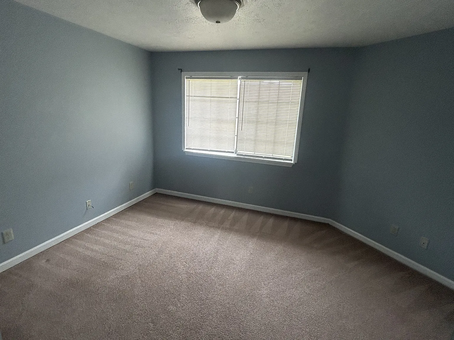 392 Shelby Avenue - Unit 12 — Photo 3