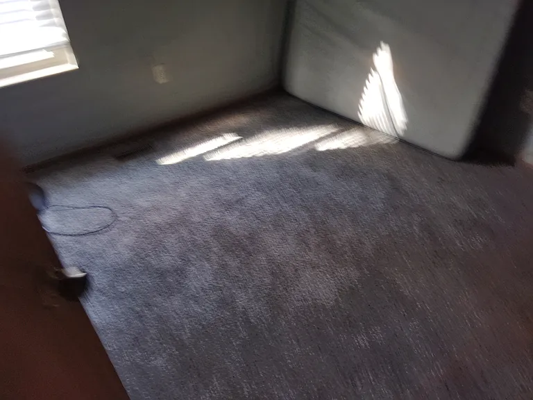 4777 Dolan Pl — Photo 7