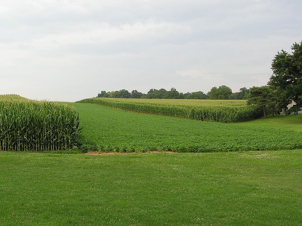 Countryside View from Deck Area