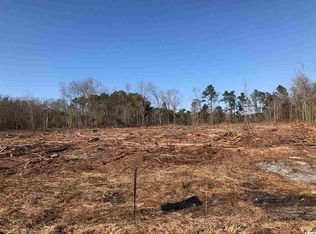 9 42 Acres Dongola Hwy, Conway, SC 29527