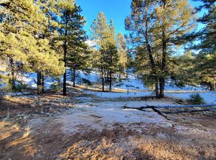 36 Garnet Way, Florissant, CO 80816