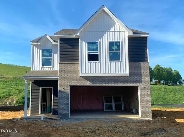 135 Mint Ct, Bluff City, TN 37618