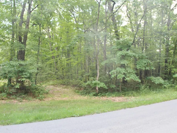V/l, Branch, MI 49402