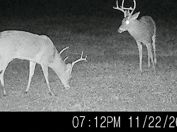 5th image of 6020 Catchpenny Rd