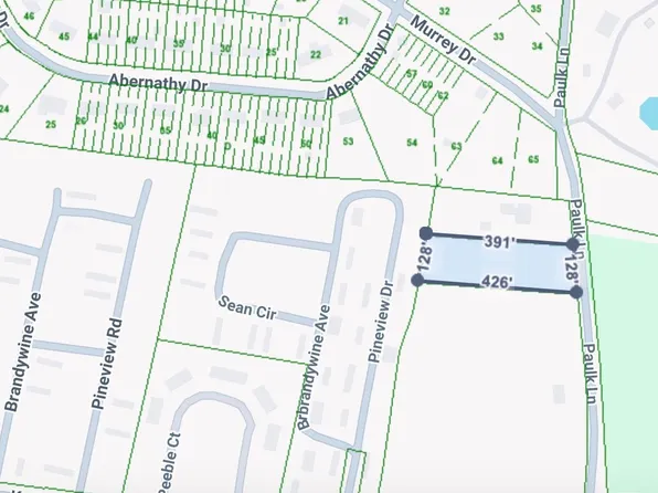 0 Paulk Ln, Pulaski, TN 38478