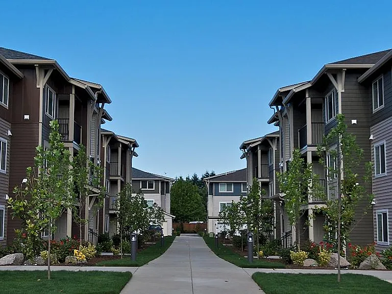 Baseline Woods — Photo 23