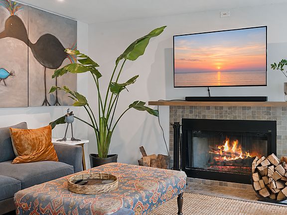 Cozy and bright living room with wood burning fireplace. Great room for plants!