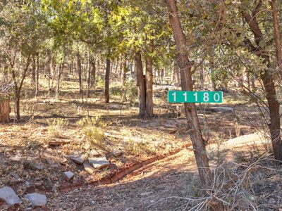 11180 N Houston Mesa Rd, Payson, AZ, 85541