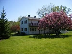 back yard