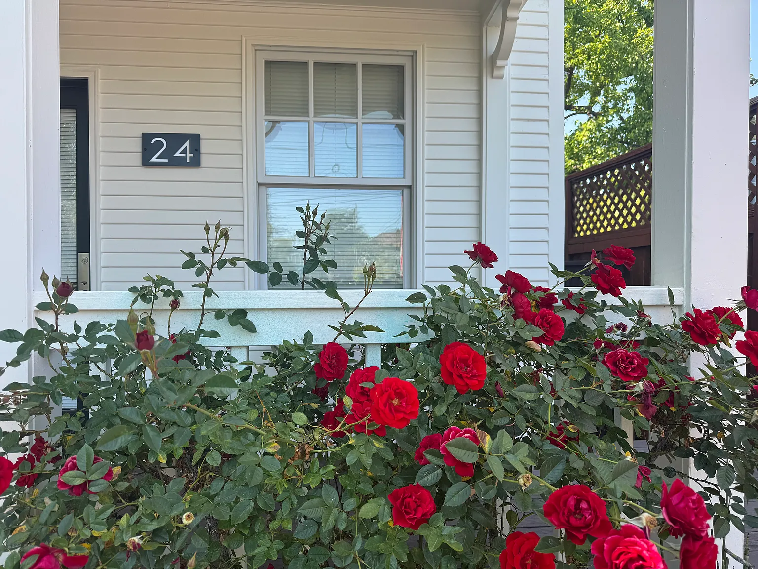 24 Magnolia Ave — Photo 4