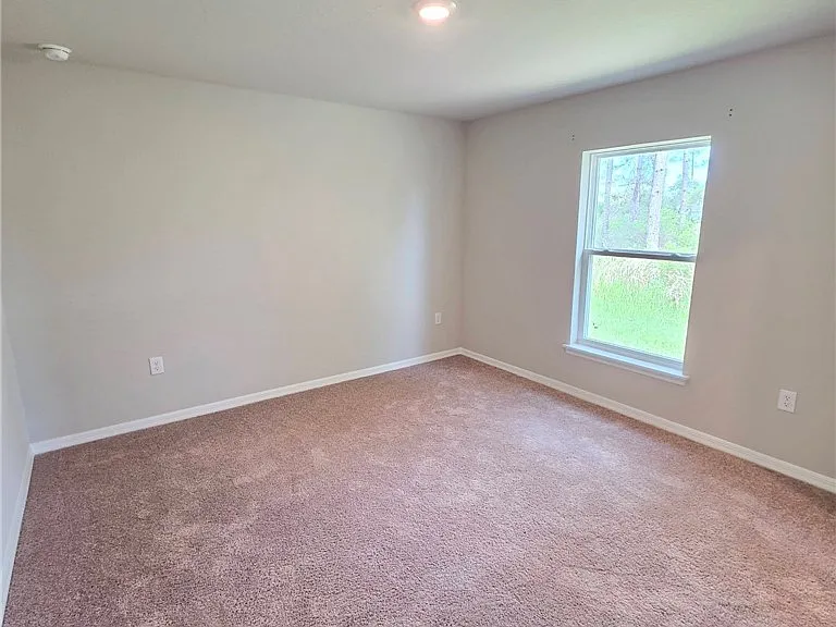5553 Castania Dr — Photo 12