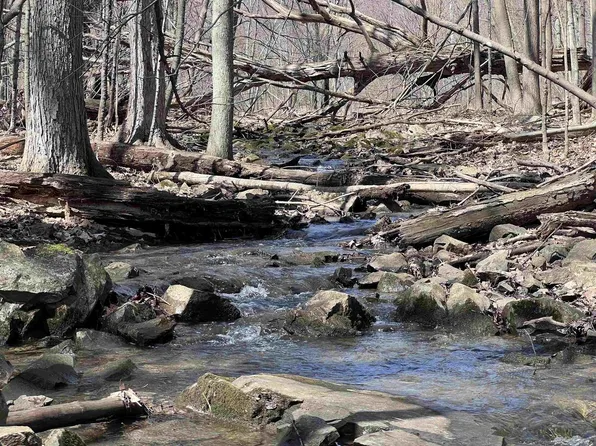 CANYON ROAD, Wausau, WI 54403