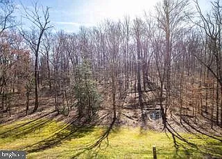 8931 Park Forest Dr — Photo 46
