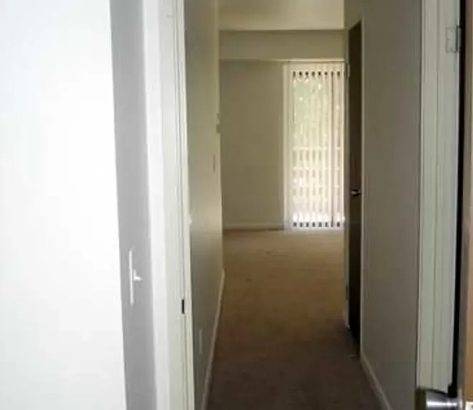 Ebonhurst Apartments — Photo 14