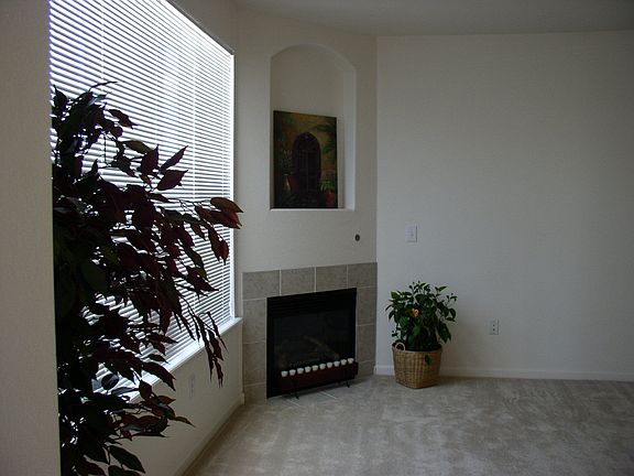 The fireplace features an art niche. 