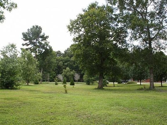 many types of trees