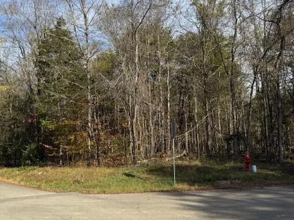 LOT 1023 Cove Ln, White Pine, TN 37890