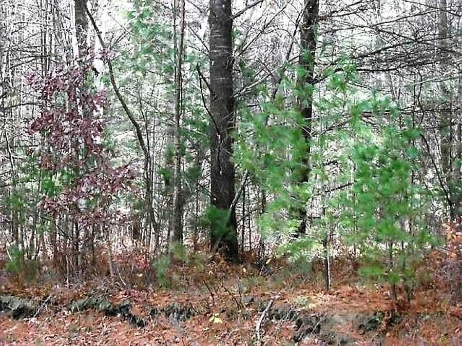 3001 Toboggan Run, Midland, MI 48642 Zillow