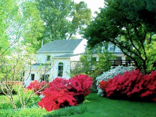 6438 5th St, Alexandria, VA 22312