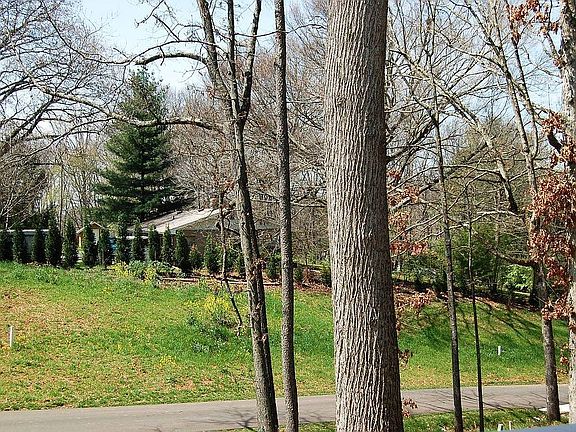 View from front porch