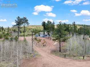 100 Wolverine Dr, Florissant, CO 80816