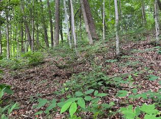 0 Highway 75 N, Helen, GA 30545