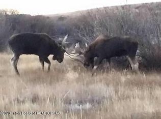 27 Eagle Ln, Pinedale, WY 82941