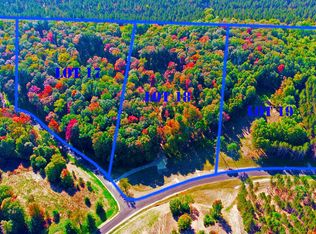 Dockery Rd NW UNIT 19, Williamsburg, MI 49690