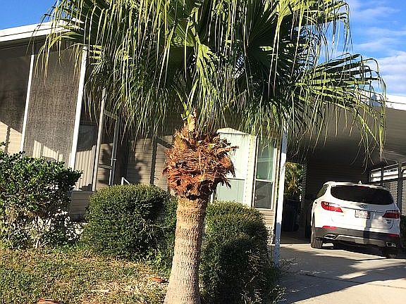 3rd image of 4003 Buena Vista Dr S