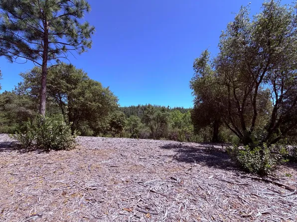 Acres 10 Big Oak Ct, Placerville, CA 95667