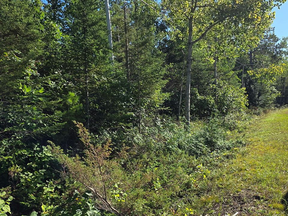 1st image of 261 Pineview Dr