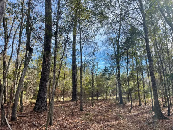 1 Weenee Rd, Jamestown, SC 29453