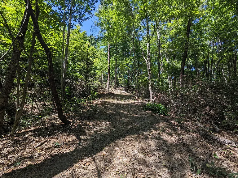 364 Messersmith Rd — Photo 23