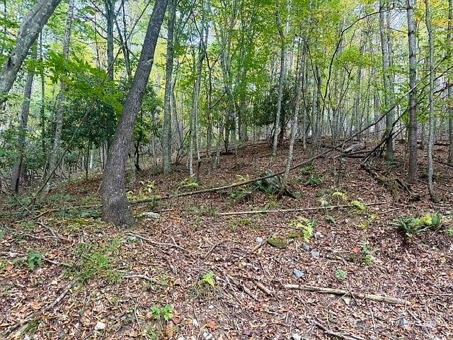 1st image of TBD E Weaver Ford Road