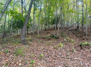 E Weaver Ford Rd, Grassy Creek, NC 28631