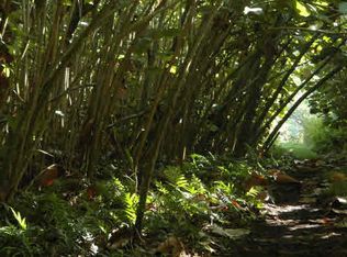 Old Government Bch LOT 1, Pahoa, HI 96778